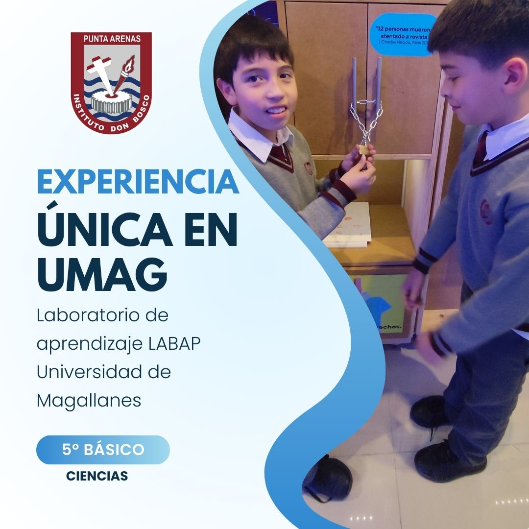 Experiencia 5º